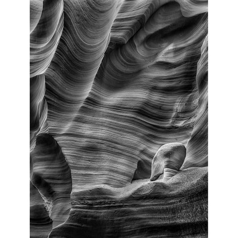 Meditation White Modern Wood Framed Art Print by Li, Richard