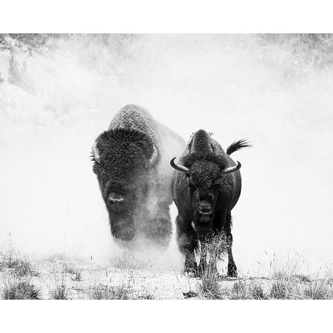 Couple Black Modern Wood Framed Art Print with Double Matting by Yu, Wenjin