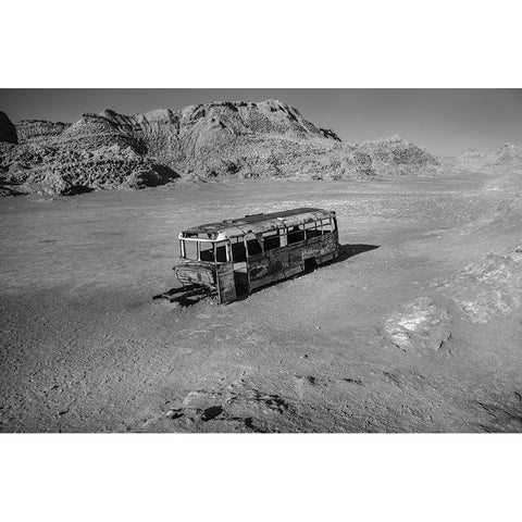 San Pedro de Atacama, Chile. 2022 Gold Ornate Wood Framed Art Print with Double Matting by Flueraru, Cristian