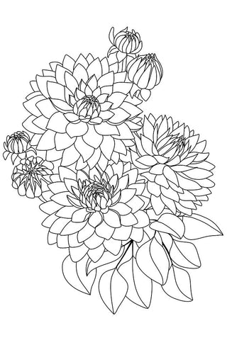Pacey bouquet in black and white Black Ornate Wood Framed Art Print with Double Matting by Laiz Blursbyai, Rosana
