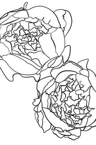 Sallys peonies in black and white Black Ornate Wood Framed Art Print with Double Matting by Laiz Blursbyai, Rosana