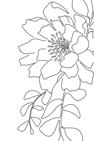 Loli peony line art Black Ornate Wood Framed Art Print with Double Matting by Laiz Blursbyai, Rosana