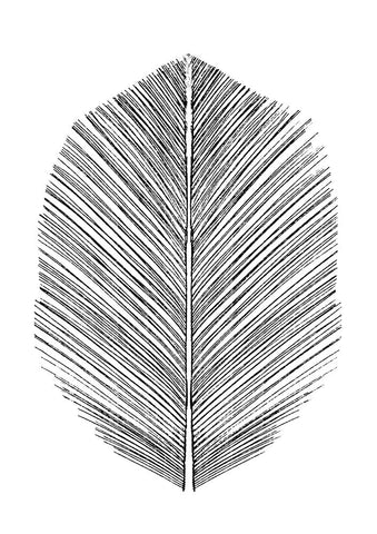 Feather White Modern Wood Framed Art Print with Double Matting by Hobday, Dan