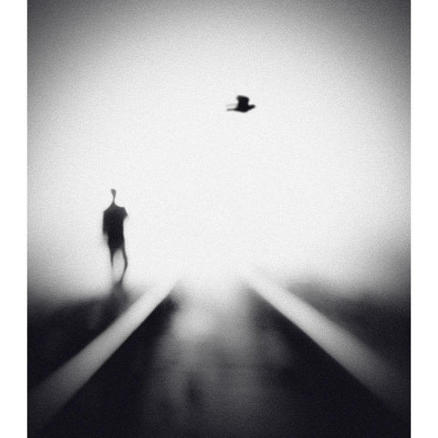 Nocturne Black Modern Wood Framed Art Print with Double Matting by Lee, Hengki