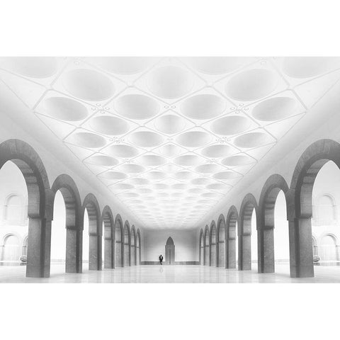 The Museum White Modern Wood Framed Art Print by Buhligaha, Hussain