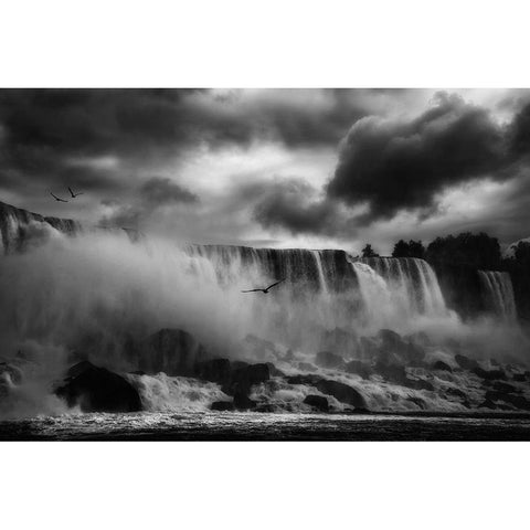 Powerful Splendor Black Modern Wood Framed Art Print with Double Matting by Depaepe, Yvette
