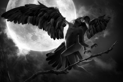 Raven Dance White Modern Wood Framed Art Print with Double Matting by Kiciak, Christophe