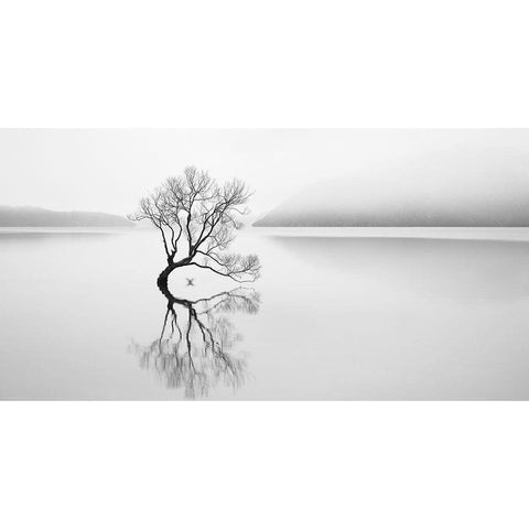 Serenity White Modern Wood Framed Art Print by Jones, Neville