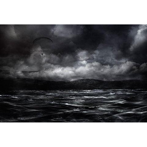Free As A Bird Black Modern Wood Framed Art Print with Double Matting by Marthinussen, Willy