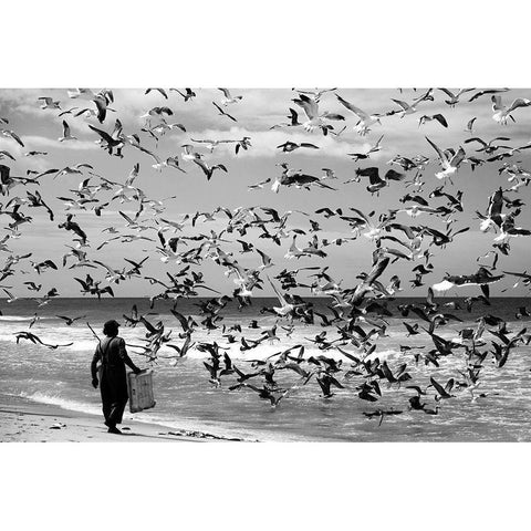 Birds Birds Black Modern Wood Framed Art Print with Double Matting by Van Der, Liesbeth