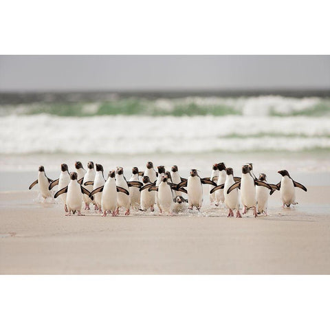 Desembarco White Modern Wood Framed Art Print by Gil Raga, Joan