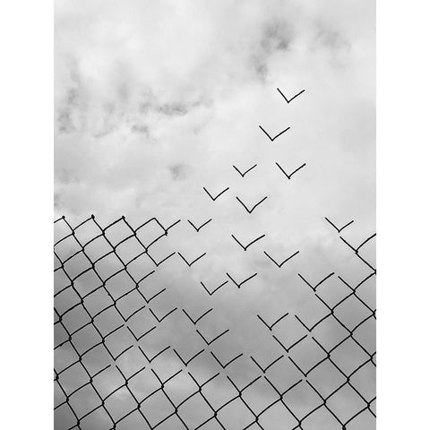 Freedom Black Modern Wood Framed Art Print with Double Matting by Alonso, Daniel