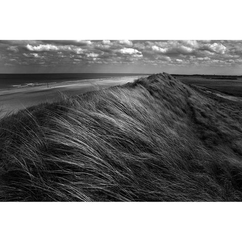 Dunes Hair. White Modern Wood Framed Art Print by Pardo, Katarzyna