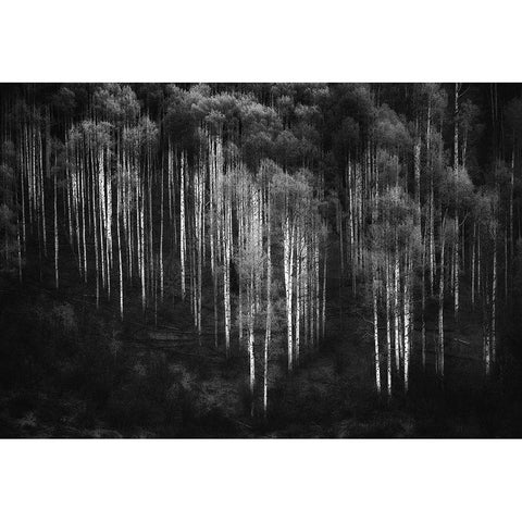 Untitled White Modern Wood Framed Art Print by Chopra, Atul