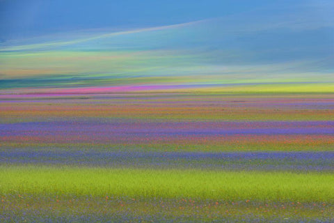 Untitled Black Ornate Wood Framed Art Print with Double Matting by Marchegiani, Roberto