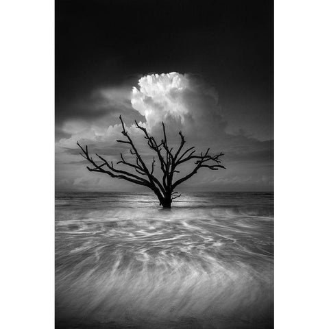 Oceanus Black Modern Wood Framed Art Print with Double Matting by Moore, Chris