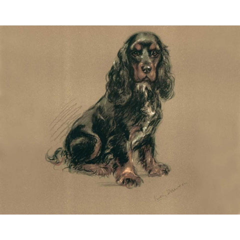Spaniel Black Modern Wood Framed Art Print with Double Matting by Dawson, Lucy