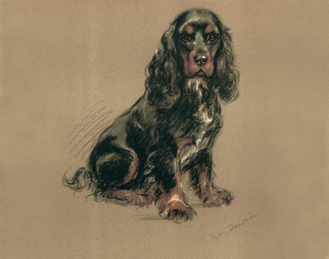 Spaniel Black Ornate Wood Framed Art Print with Double Matting by Dawson, Lucy