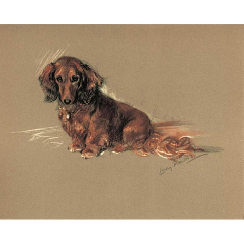 Daschund, Robin Gold Ornate Wood Framed Art Print with Double Matting by Dawson, Lucy