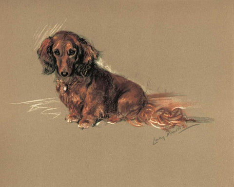 Daschund, Robin Black Ornate Wood Framed Art Print with Double Matting by Dawson, Lucy