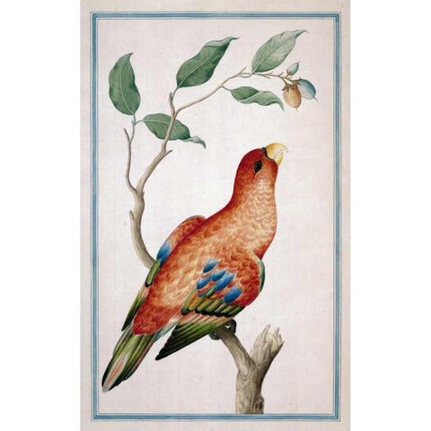 Lory, Right facing Gold Ornate Wood Framed Art Print with Double Matting by De Bevere, Pieter