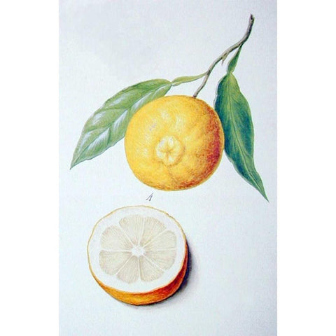 Orange Gold Ornate Wood Framed Art Print with Double Matting by Ledoulx, Pierre