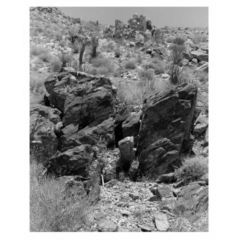 Twentynine Palms, San Bernadino, c1910 Black Modern Wood Framed Art Print with Double Matting by Anonymous