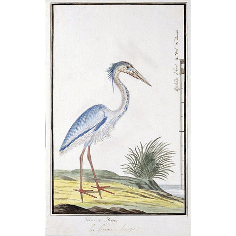 Heron Gold Ornate Wood Framed Art Print with Double Matting by Gordon, Robert James