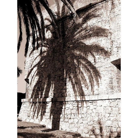 Palm Shadow, Antibes White Modern Wood Framed Art Print by Blue, Cyril