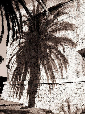 Palm Shadow, Antibes Black Ornate Wood Framed Art Print with Double Matting by Blue, Cyril