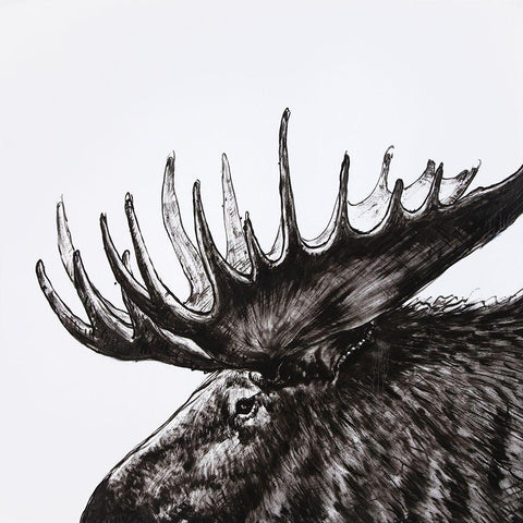 MOOSE PLUME Black Ornate Wood Framed Art Print with Double Matting by Atelier B Art Studio