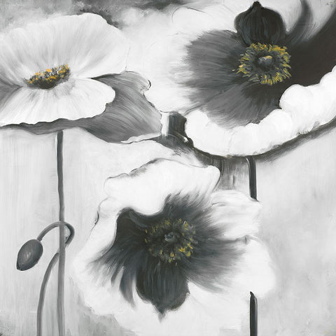 BLACK AND WHITE FLOWERS Black Ornate Wood Framed Art Print with Double Matting by Atelier B Art Studio