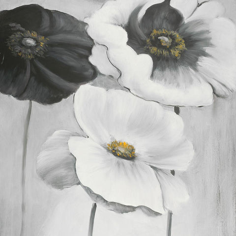 ASSORTED WHITE FLOWERS Black Ornate Wood Framed Art Print with Double Matting by Atelier B Art Studio