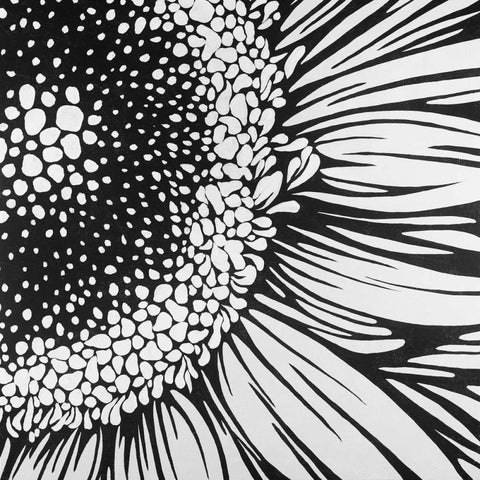 Gerbera Flower Outline Style Black Ornate Wood Framed Art Print with Double Matting by Atelier B Art Studio