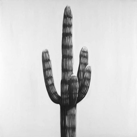 Large Cactus Black Ornate Wood Framed Art Print with Double Matting by Atelier B Art Studio