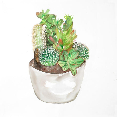 CACTUS ASSORTMENT IN A POT Black Ornate Wood Framed Art Print with Double Matting by Atelier B Art Studio