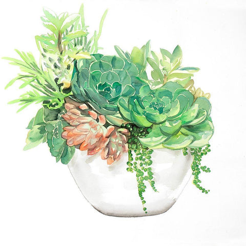 SUCCULENT ASSORTMENT IN A POT Black Ornate Wood Framed Art Print with Double Matting by Atelier B Art Studio