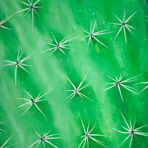 CACTUS CLOSEUP Black Ornate Wood Framed Art Print with Double Matting by Atelier B Art Studio