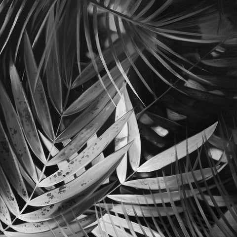 MONOCHROME TROPICALS LEAVES Black Ornate Wood Framed Art Print with Double Matting by Atelier B Art Studio