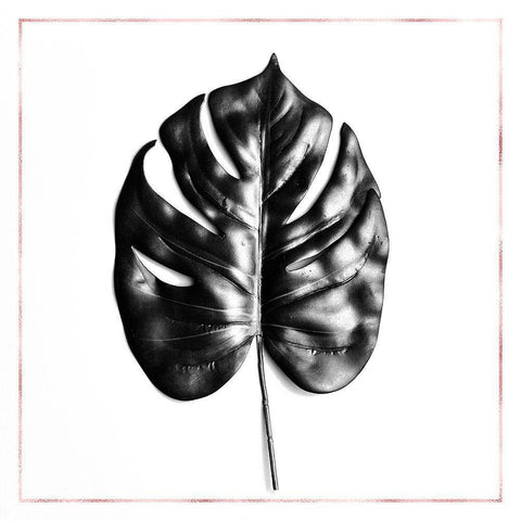 SPLIT LEAF PHILODENDRON WITH ROSE LINE White Modern Wood Framed Art Print by Atelier B Art Studio