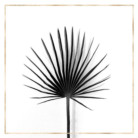 CABBAGE PALM LEAF WITH GOLD LINES White Modern Wood Framed Art Print by Atelier B Art Studio