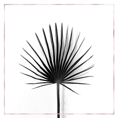 CABBAGE PALM LEAF WITH ROSE LINES Black Modern Wood Framed Art Print with Double Matting by Atelier B Art Studio
