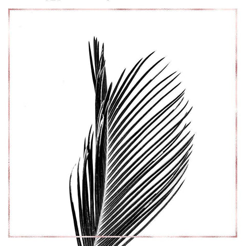 ARECA PALM WITH ROSE LINE Black Ornate Wood Framed Art Print with Double Matting by Atelier B Art Studio