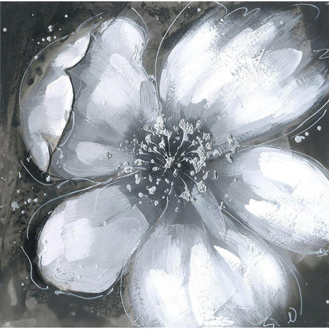 Abstract white orchid Black Modern Wood Framed Art Print with Double Matting by Atelier B Art Studio