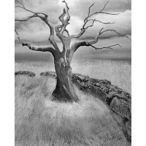 The Meadow Black Modern Wood Framed Art Print with Double Matting by Fisch, Ellen