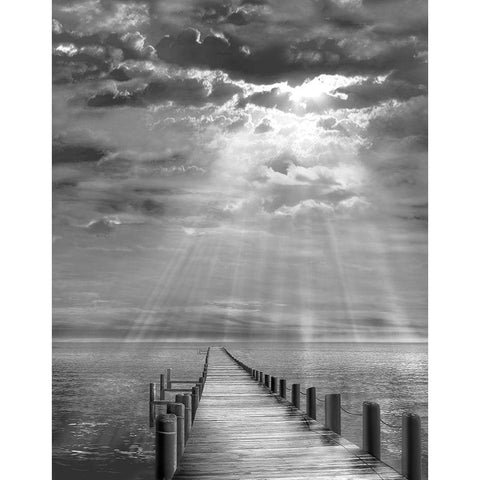 Storm Clearing Black Modern Wood Framed Art Print with Double Matting by Fisch, Ellen