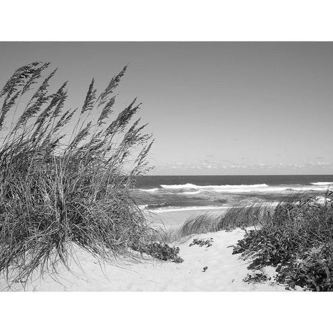 Dune Path White Modern Wood Framed Art Print by Turek, Eve