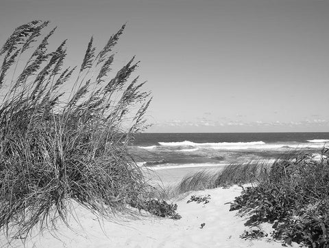 Dune Path Black Ornate Wood Framed Art Print with Double Matting by Turek, Eve