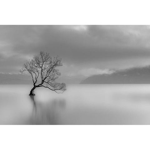 Quiet Times White Modern Wood Framed Art Print by Anonymous
