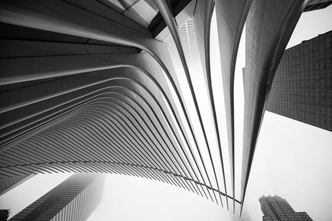 World Trade Center Architecture White Modern Wood Framed Art Print with Double Matting by Graciet, Stephane